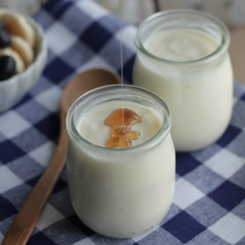 https://livesimply.me/wp-content/uploads/2013/05/1Fhomemadeyogurt2-500x500.jpg