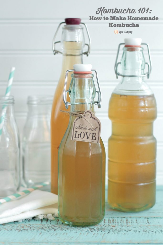 Make this healthy probiotic drink at home! It's so easy!! Homemade Kombucha 101: How to Make Homemade Kombucha