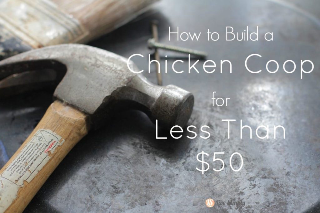 build-chicken-coop-for cheap