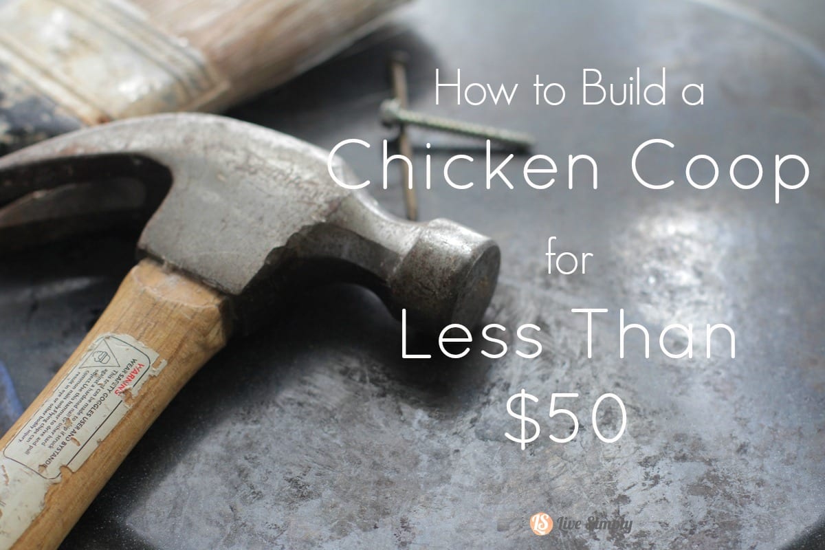 How to Build a Chicken Coop for Less Than $50 - Live Simply