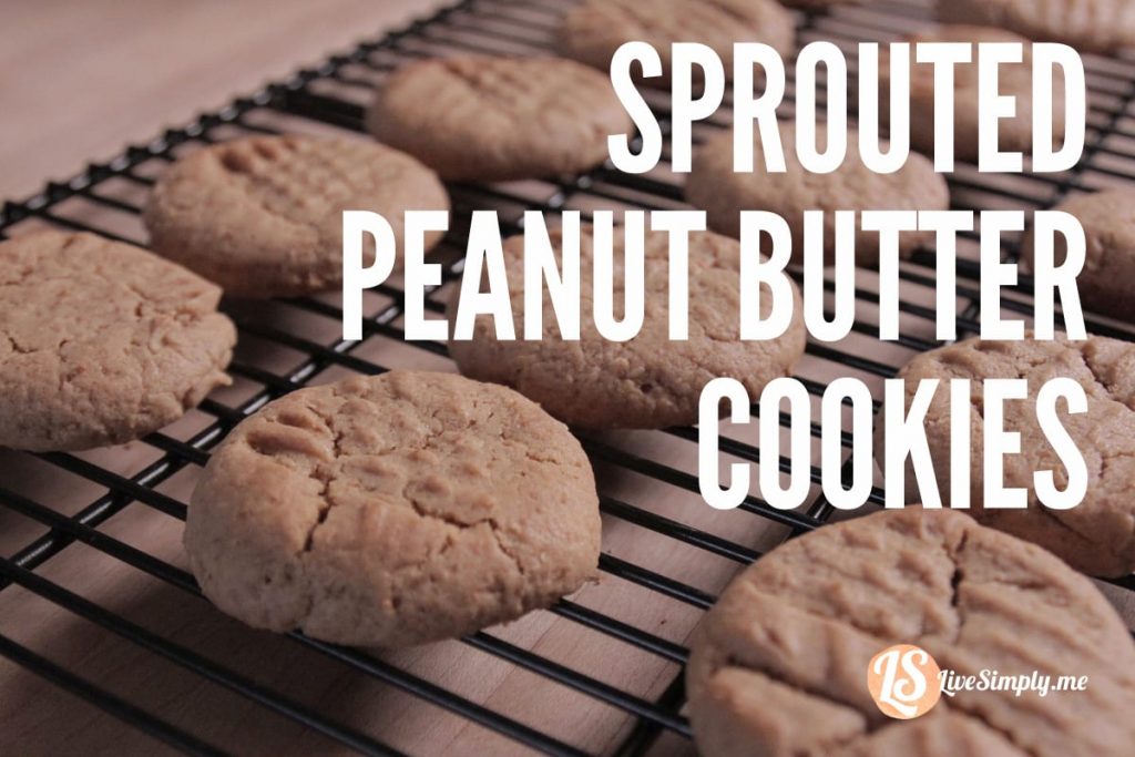 Sprouted-Peanut-Butter-Cookies