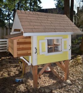 How to Build a Chicken Coop for Less Than $50 - Live Simply