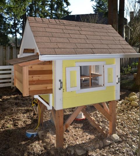 Building a chicken house free