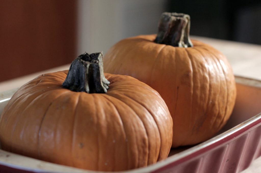 Pumpkin-IMG_9100