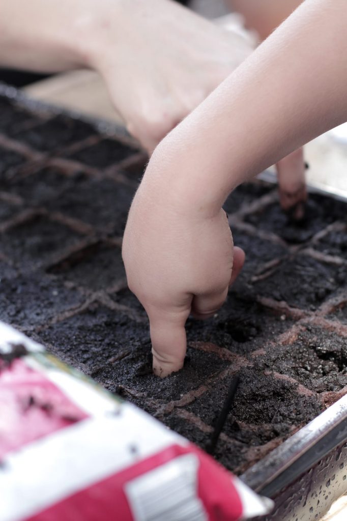 4 great tips for planting your real food garden! #3 is very important!