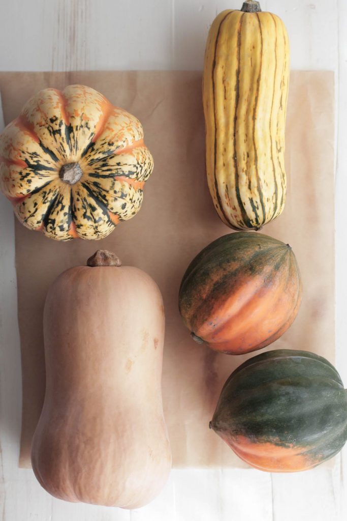 How to Roast Any Squash and Make it Taste Amazing!