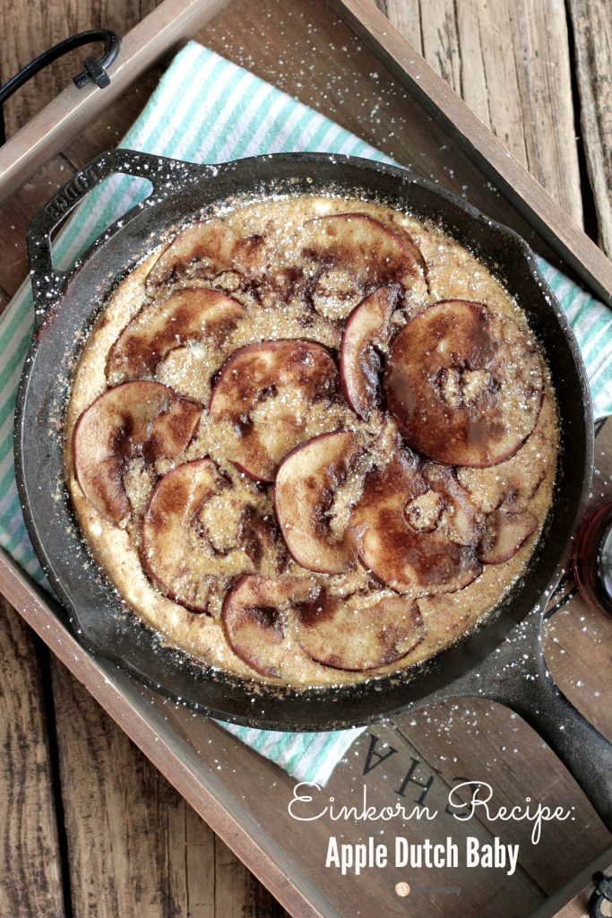 The simplest baked pancake ever! Plus, this is loaded with protein and packs fall flavor.