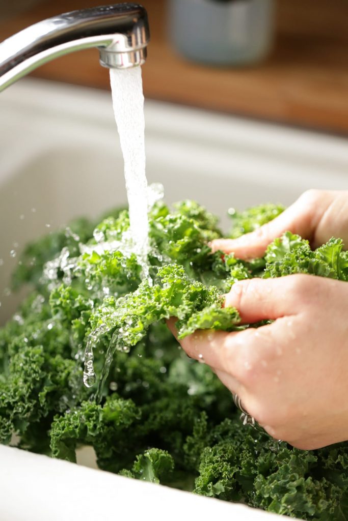 Fruit and Vegetable Cleaning Machine for Removing Hair and Mud