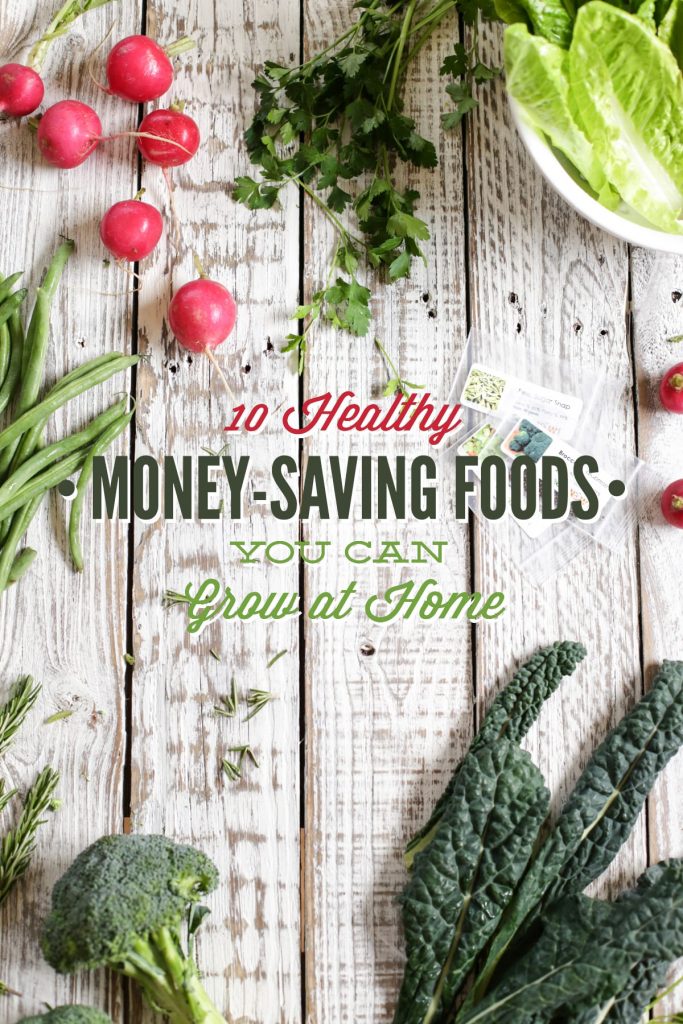 10 Money Saving Foods You Can Grow At Home