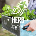DIY Herb Box: A super easy tutorial for a fun garden herb box!