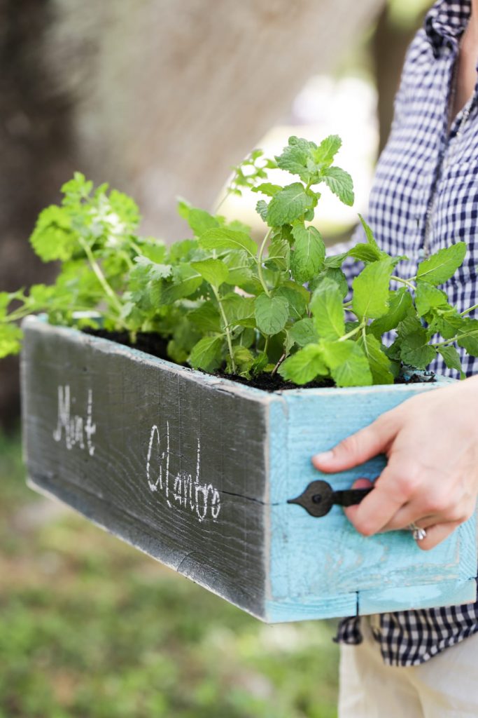 DIY Herb Box: A super easy tutorial for a fun garden herb box!