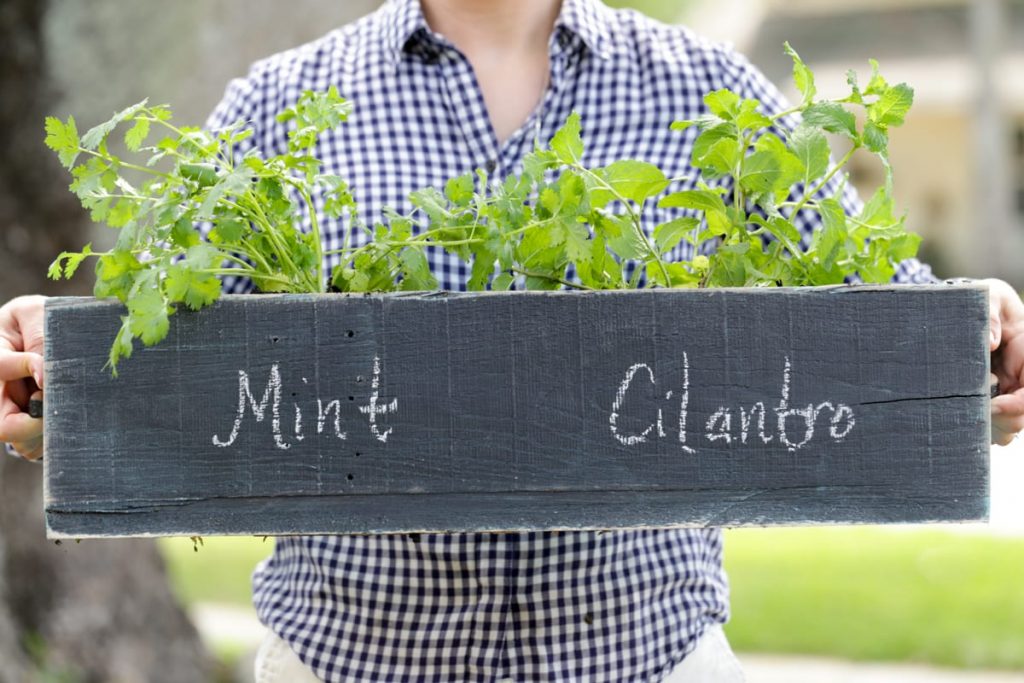 DIY Herb Box: A super easy tutorial for a fun garden herb box!