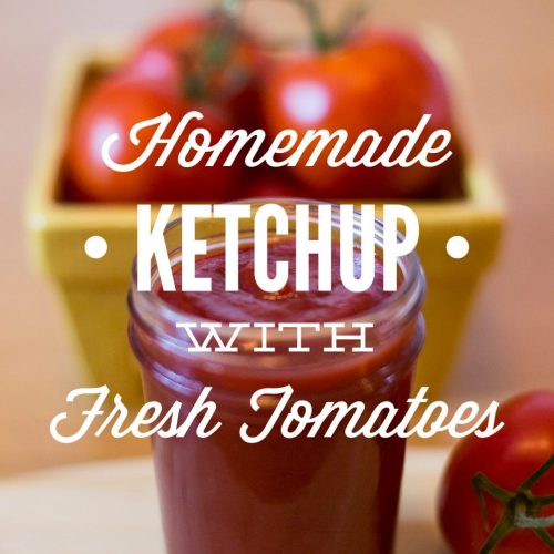 Homemade Ketchup with Fresh Tomatoes