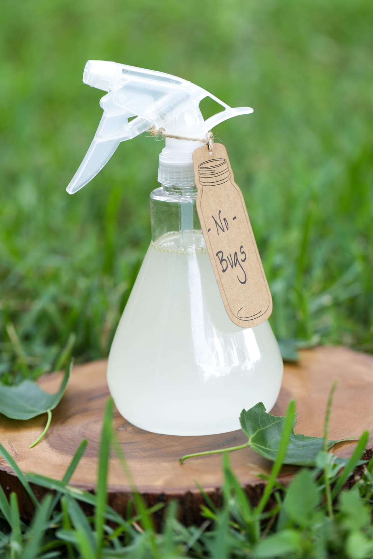 Clear glass bottle with a tag on it saying "no bugs" to label the solution.
