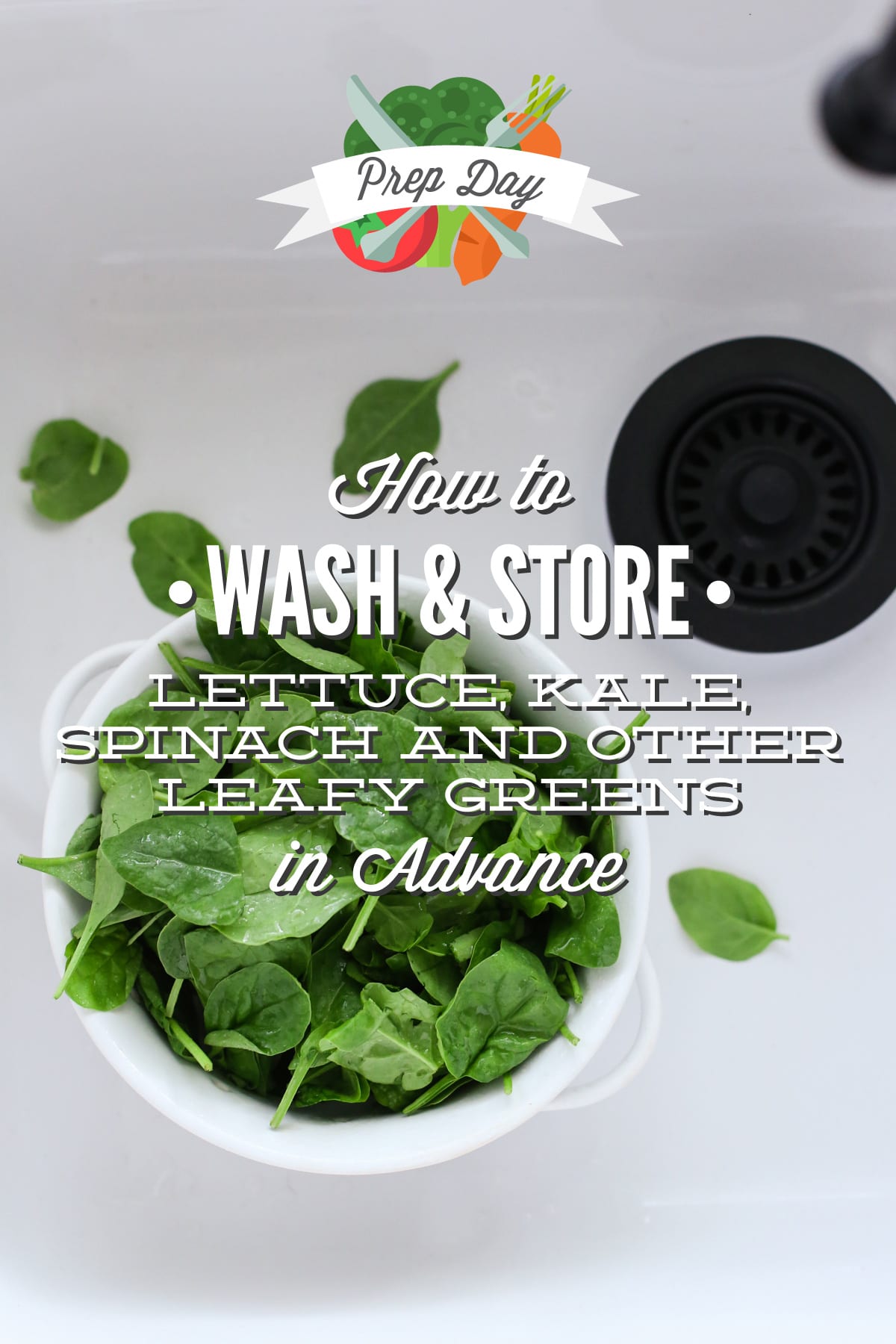 Prep Day: How to Wash and Store Lettuce, Kale, Spinach and Other Leafy Greens in Advance - Live Simply