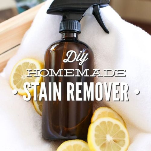 DIY Homemade Stain Remover Spray
