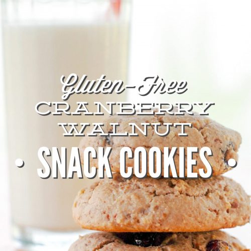 Gluten-Free-Cranberry-Walnut-Snack-Cookies