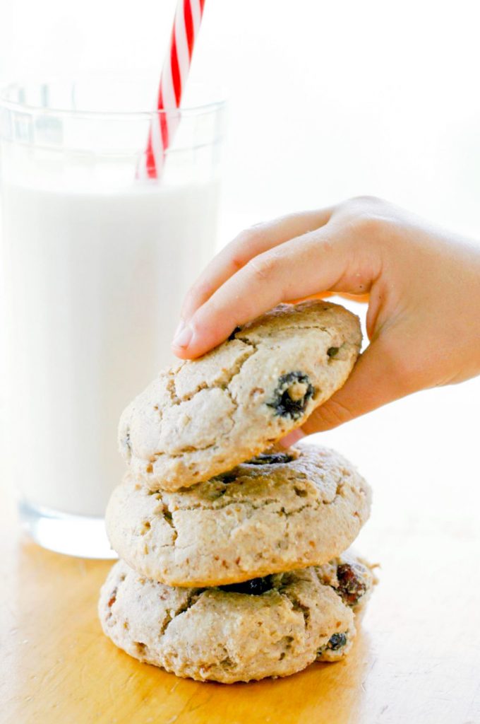 Gluten Free Cranberry Walnut Snack Cookies. Great nutrient dense after school snack! They also freeze well!