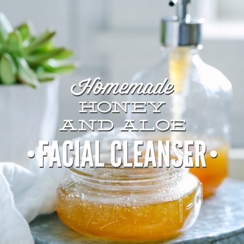 Homemade Honey and Aloe Facial Cleanser