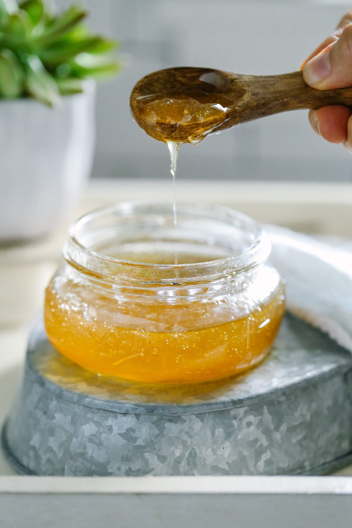 Homemade Honey and Aloe Facial Cleanser - Live Simply