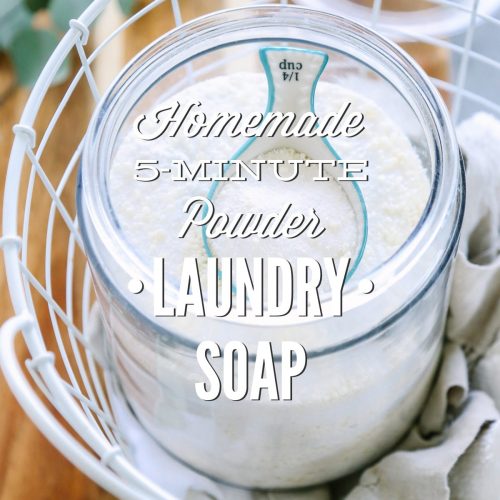 Homemade 5-Minute Powder Laundry Soap