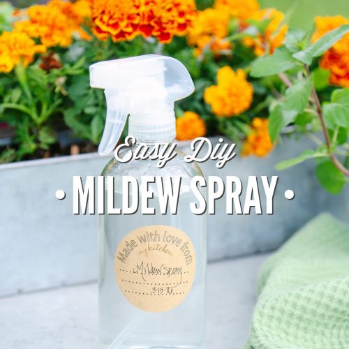 Easy DIY Mildew Spray
