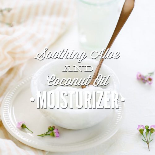 Soothing Aloe and Coconut Oil Moisturizer