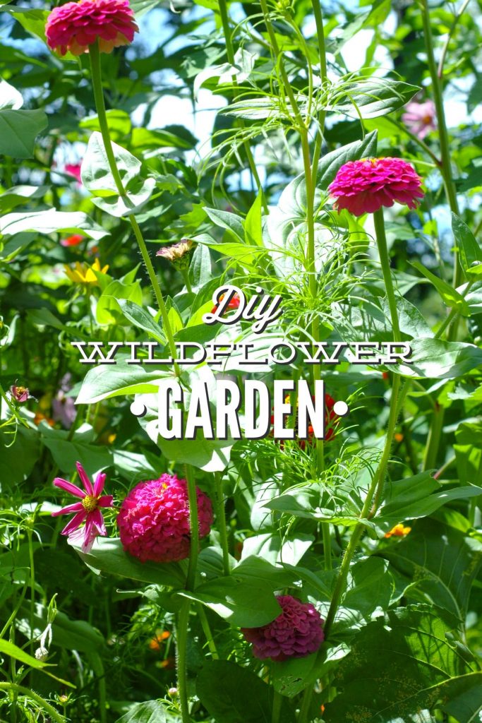Creating a DIY Wildflower Garden will not only bring beauty to your yard, it can also help with your food garden as well!
