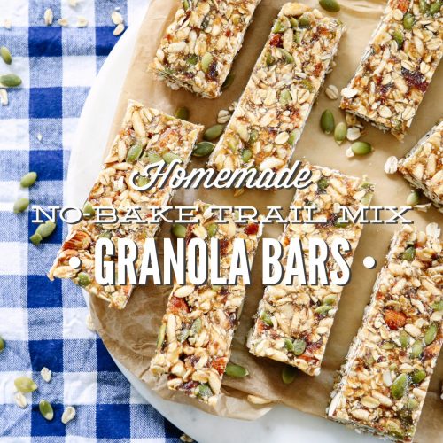 Trail Mix Granola Bars {Easy No Bake Recipe} 