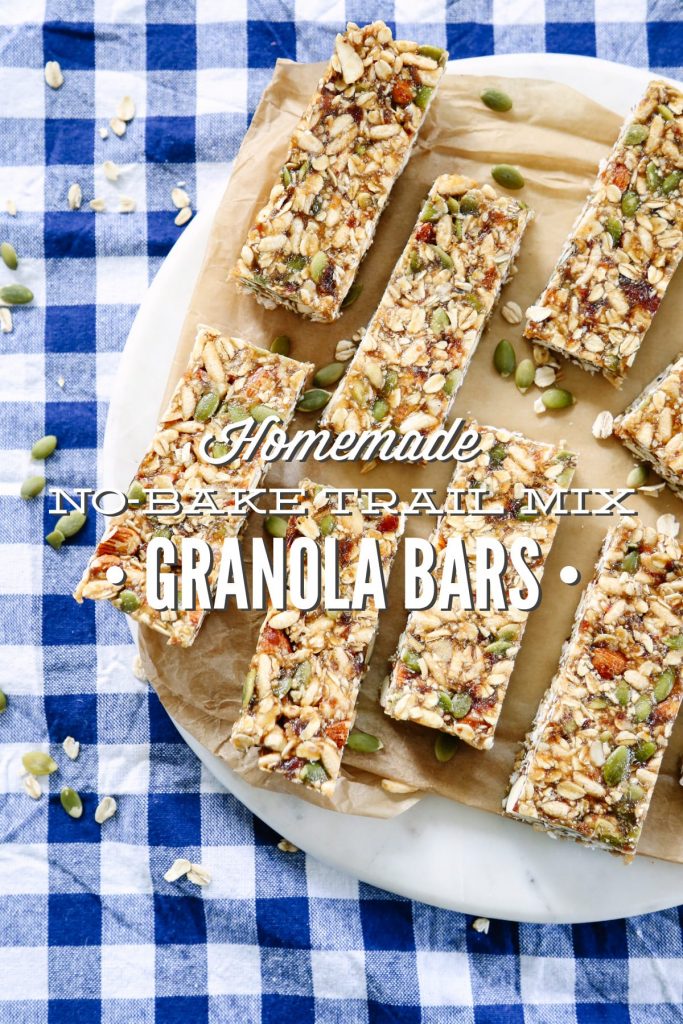 Trail Mix Granola Bars {Easy No Bake Recipe} 