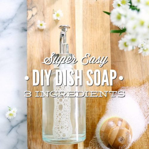 Easy Homemade Dish Soap Recipe  Made with Sal Suds - Lemons, Lavender, &  Laundry