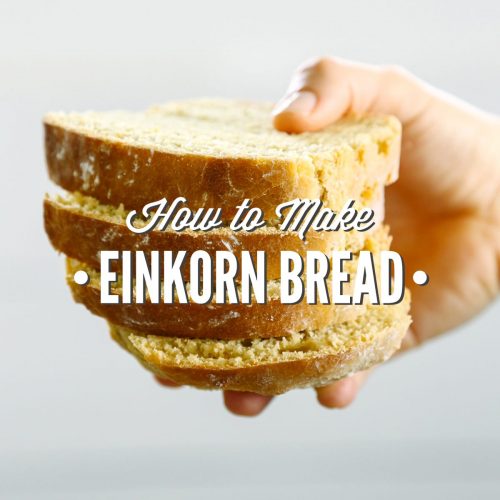 https://livesimply.me/wp-content/uploads/2016/08/How-to-Make-Einkorn-Bread-500x500.jpg