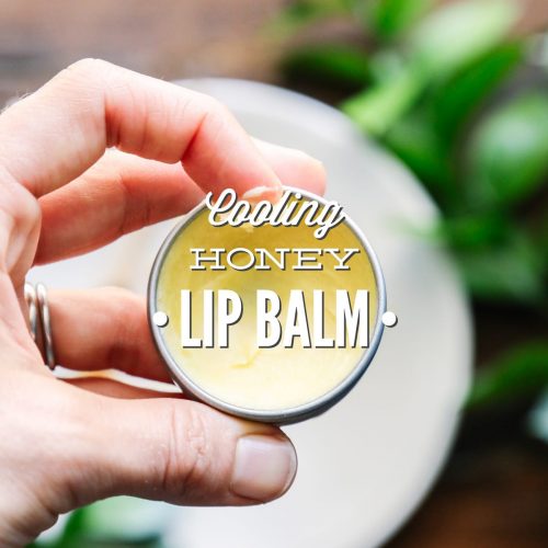 Cooling Honey Lip Balm