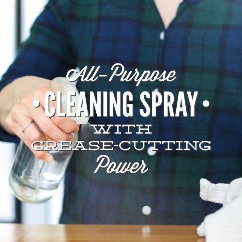 All-Purpose Cleaner Spray with Grease-Cutting Power