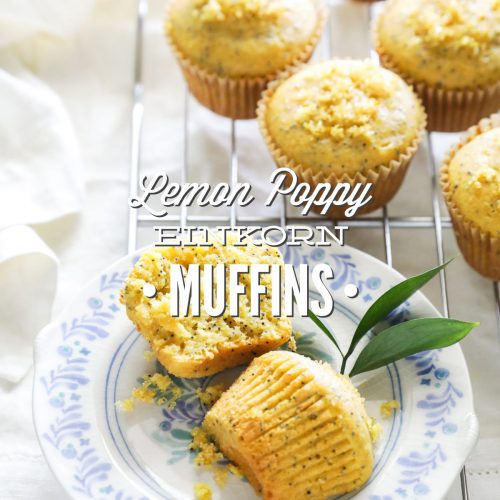 Lemon Poppy Einkorn Muffins
