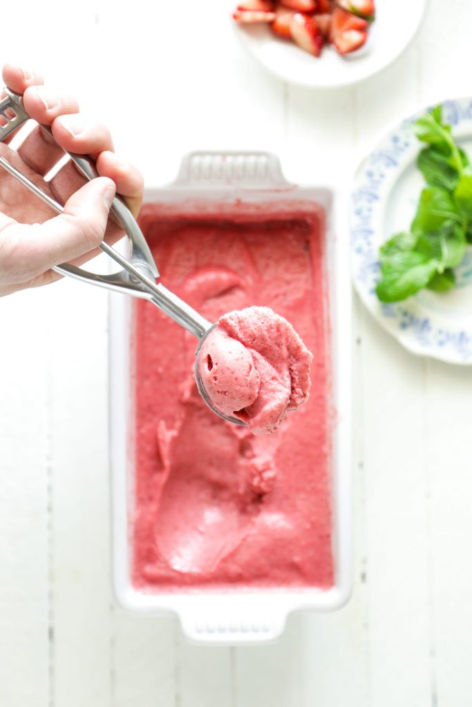 Incredible! Homemade froyo with only five basic, real food ingredients: yogurt, fruit, vanilla extract, honey, and mint (optional, if you don't have any). naturally-sweetened. real food.
