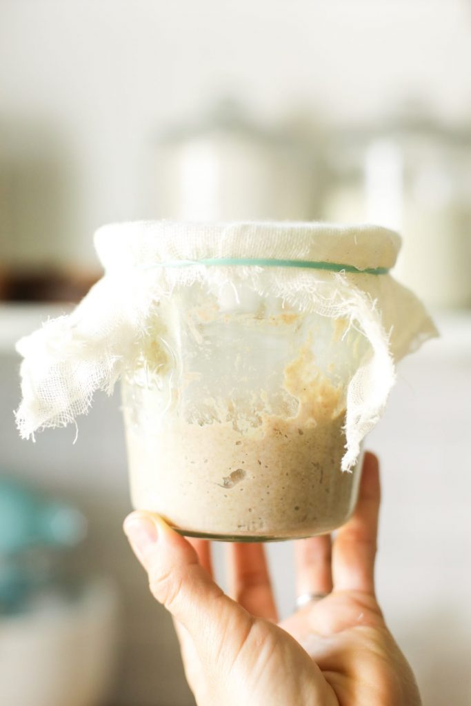 https://livesimply.me/wp-content/uploads/2017/08/how-to-make-homemade-sourdough-starter-6208-683x1024.jpg