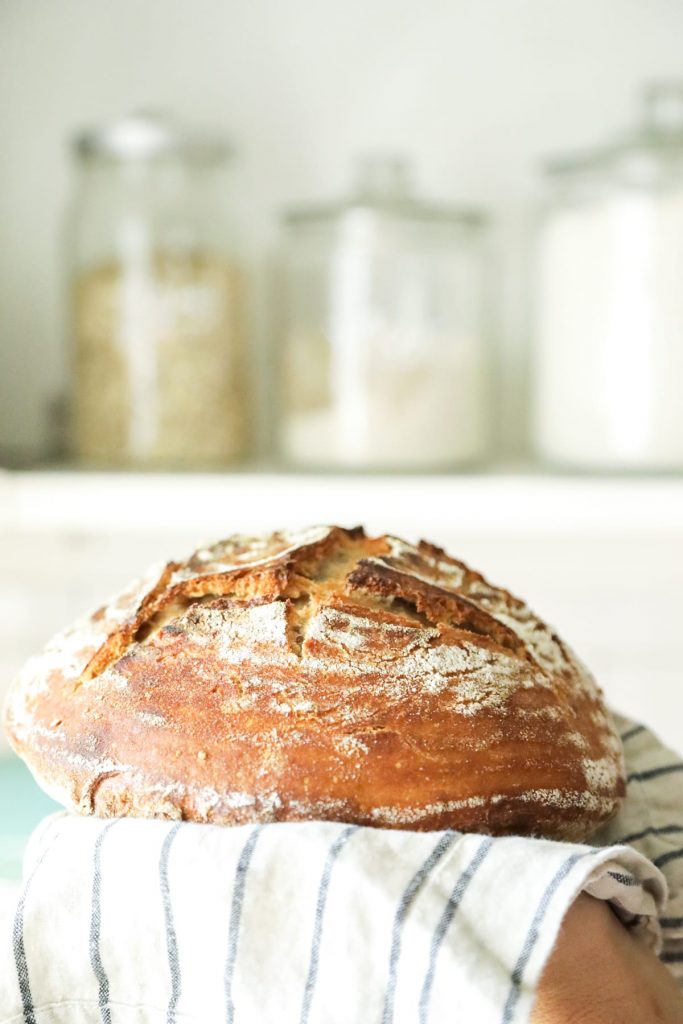 Consider this Sourdough Start 101! Use my experience, testing & even failures to help you overcome your sourdough fears!