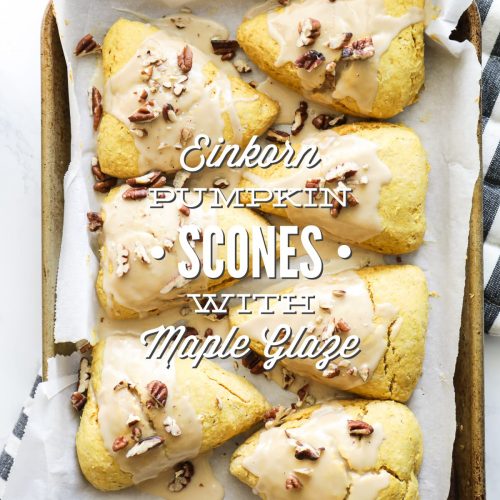 Einkorn Pumpkin Scones with Maple Glaze