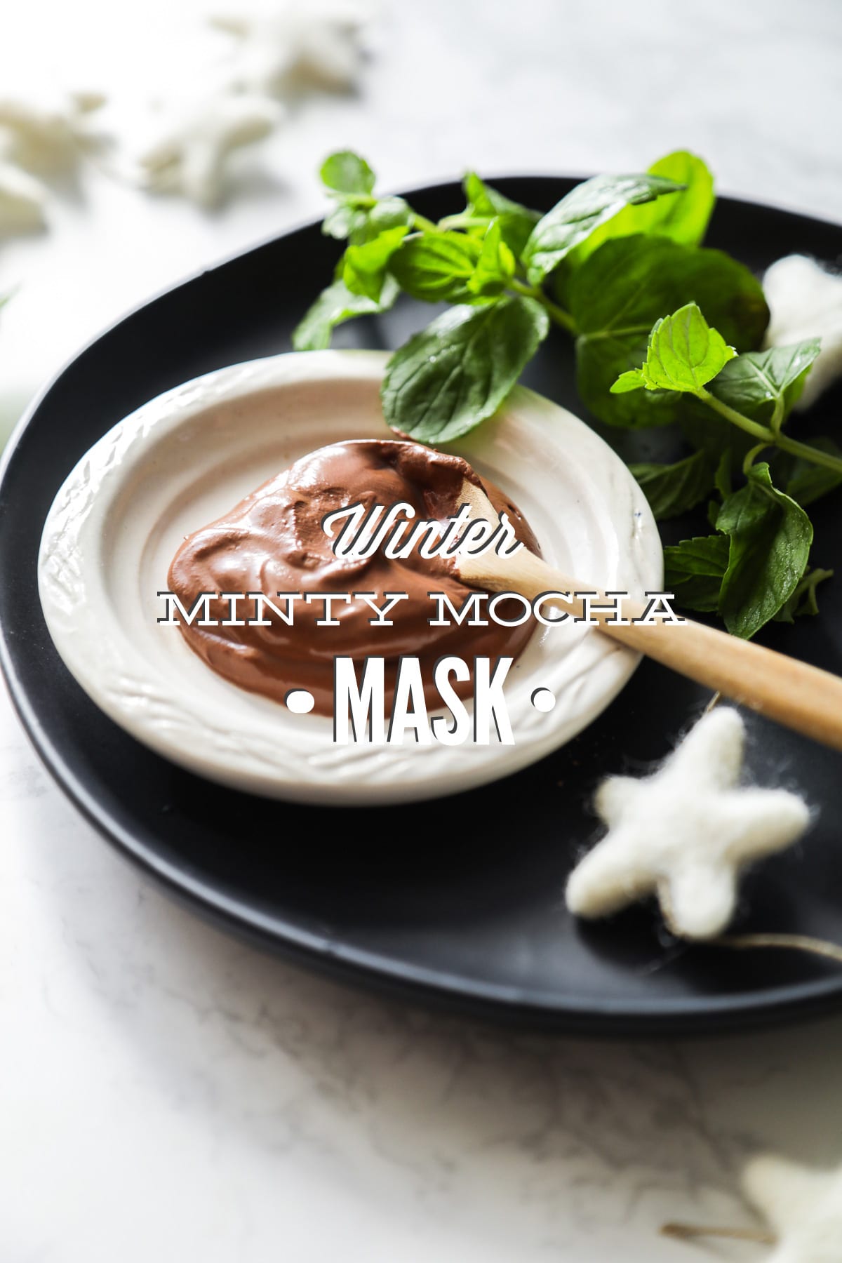 Seasonal Facial Mask: Winter Minty Mocha Mask