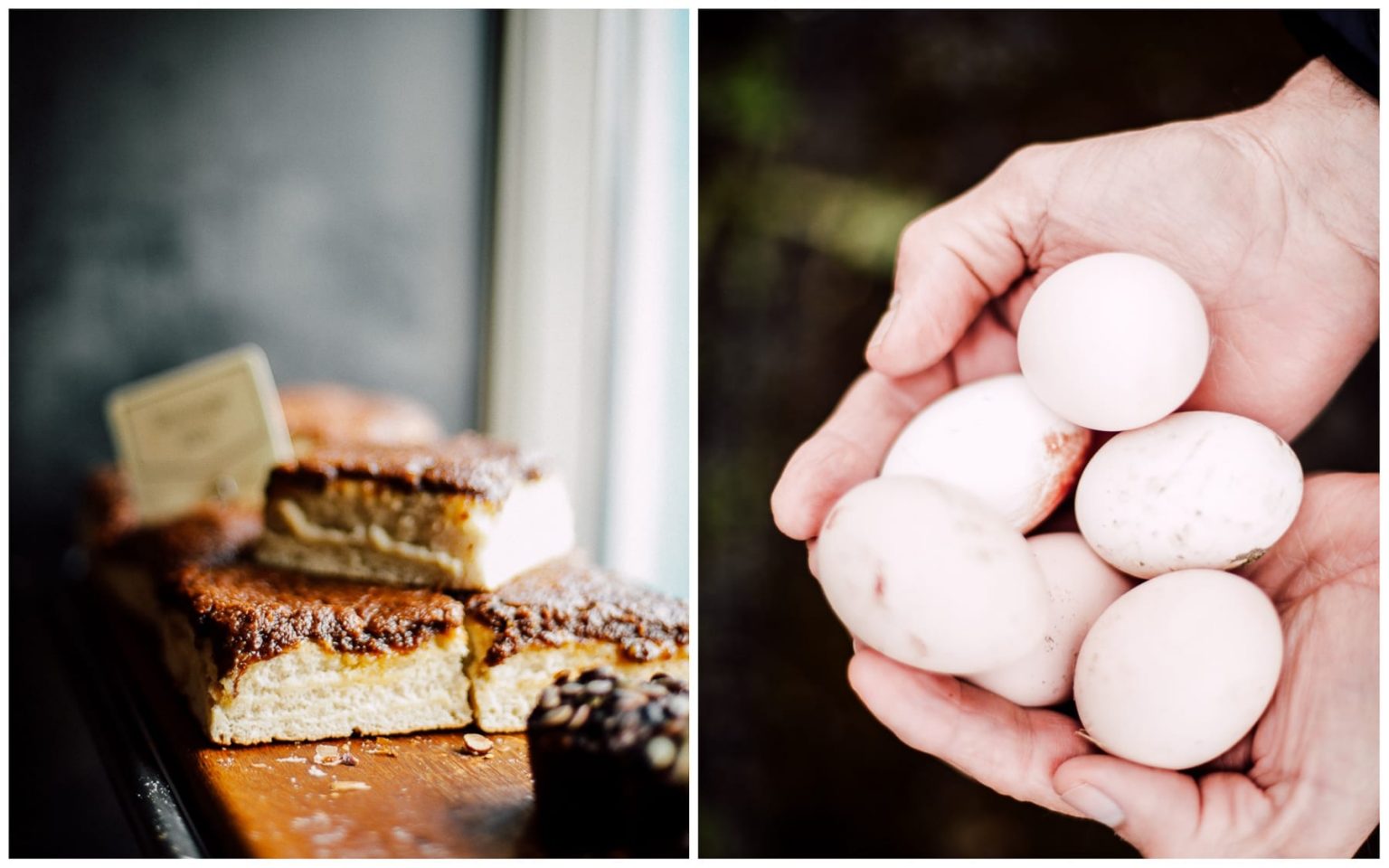 Natural Remedies for Calming Flight Anxiety and Flying Comfortably