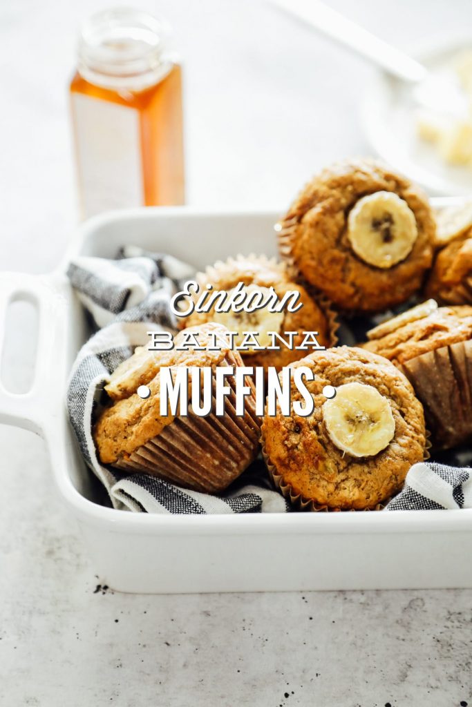 You're going to love these einkorn banana-maple muffins! They have a naturally-sweet flavor (thanks to the banana and maple syrup combo) and a light texture (thanks to the einkorn flour).