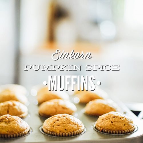 einkorn pumpkin muffins