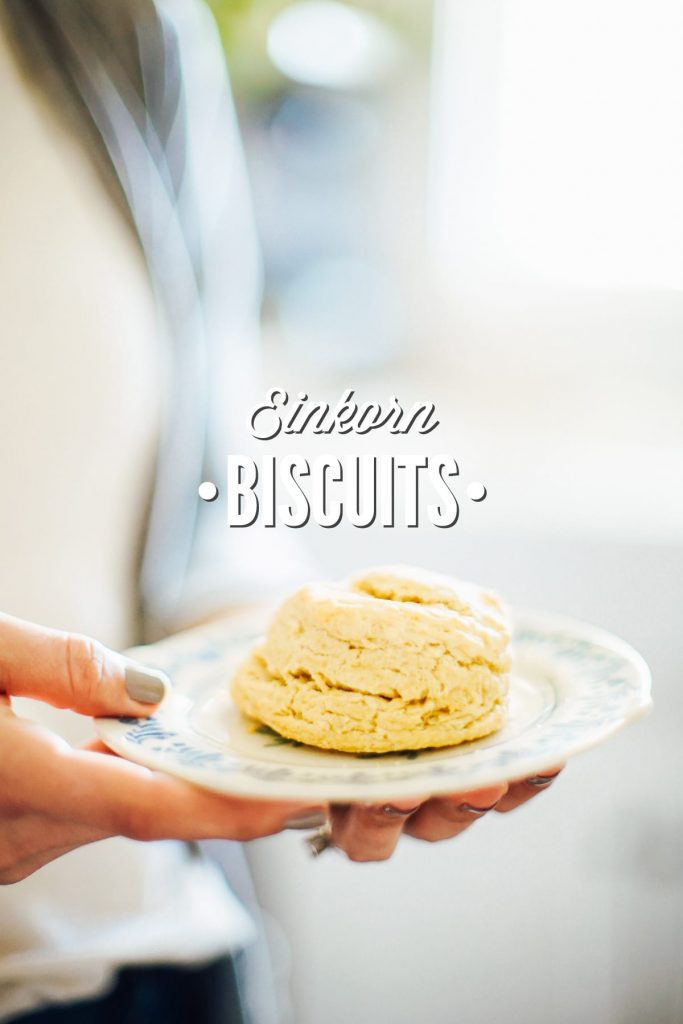 Easy to make homemade biscuits made ancient einkorn flour. These biscuits are perfectly fluffy and also delightfully flaky. 