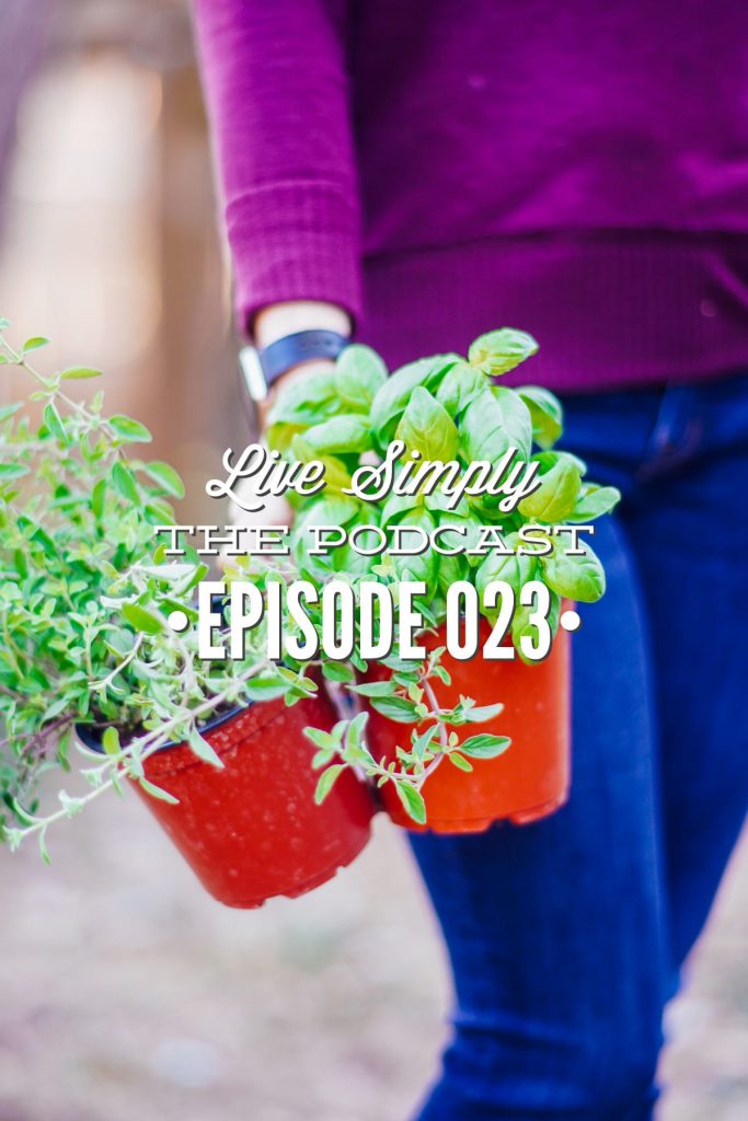 Live Simply, The Podcast Episode 023: The Encouragement You Need to Grow Your Own Food with Lacey from The Rab Farm