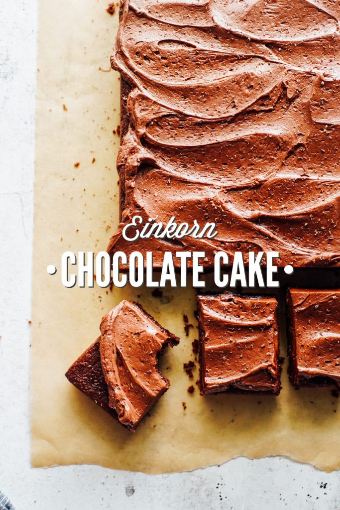 365 Unique Chocolate Recipes: Best-ever Chocolate Cookbook for