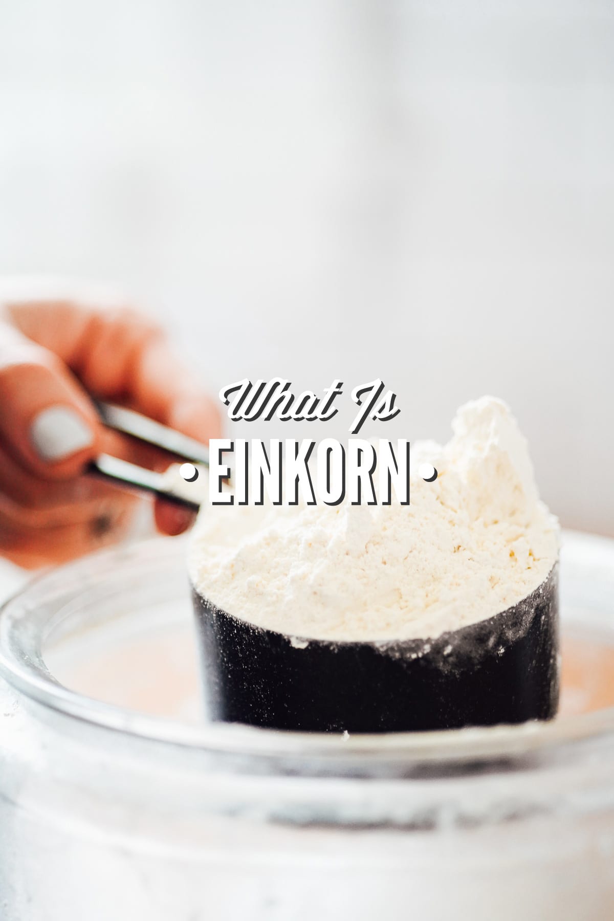 What is Einkorn Flour? And Tips for Using Einkorn Flour