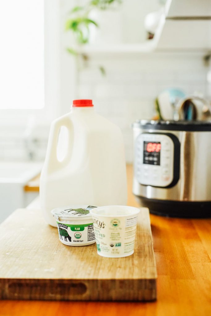 Milk and starter yogurt for making homemade yogurt