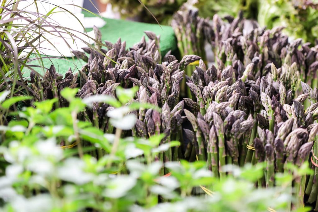 Verduras de temporada 