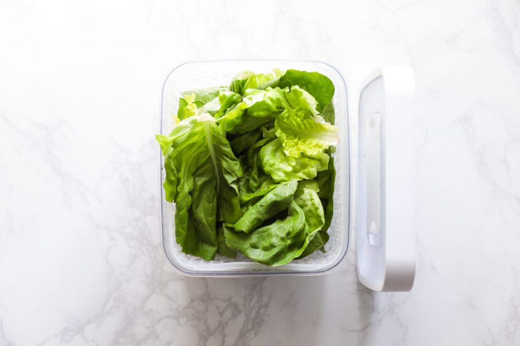 produce storage container for leafy greens